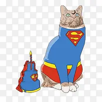 超人衣服小猫