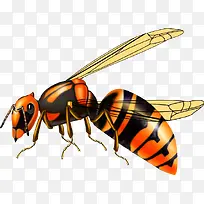 卡通手绘蜜蜂昆虫
