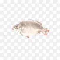 手绘灰色的小鱼