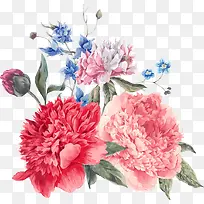 卡通手绘唯美花朵