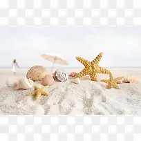沙滩海星贝壳人物景深效果背景素材