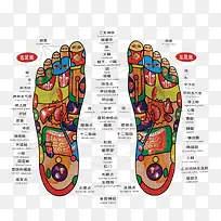 足底脉落分布养生