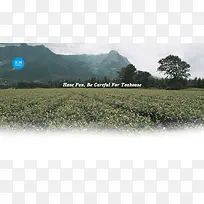 室外草地大山树木背景高清