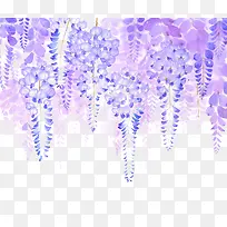 紫藤花丛图片素材