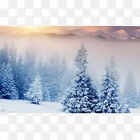 冬季雪景景观图片