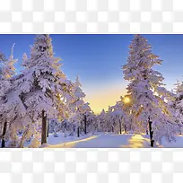 冬季野外景观素材图片