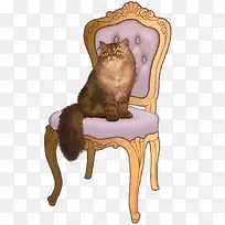 椅子上的猫咪