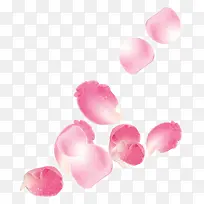 粉色梦幻漂浮花瓣创意