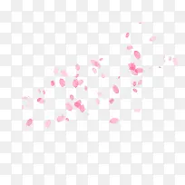 粉色花瓣图片素材