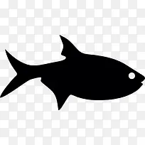 鱼的轮廓图标