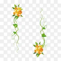 鲜花边框