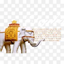 泰国大象花纹素材背景