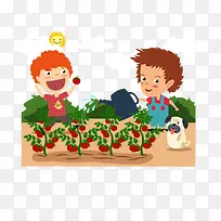 男孩种植西红柿