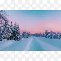 夕阳下雪后小路树林