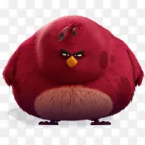 红色卡通肥胖小鸟