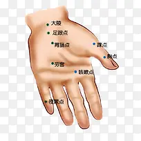 人体手部正面穴位