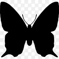 蝴蝶昆虫动物形状图标