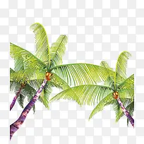 海南椰子树元素素材