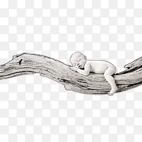 躺在树的婴儿
