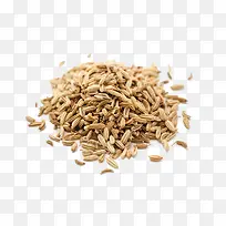 小茴香中药新鲜小茴香籽