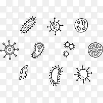 单细胞菌群