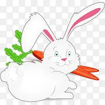 吃红萝卜的兔子