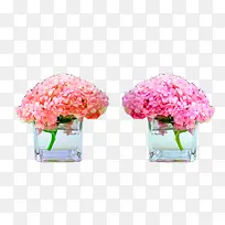 风信子桌花图片素材