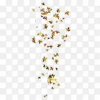 飘落的枫叶