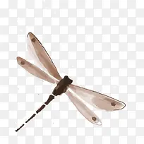 褐色中国风蜻蜓