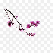 左边角梅花树枝