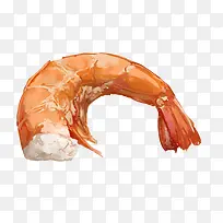 葱爆虾仁手绘画素材图片