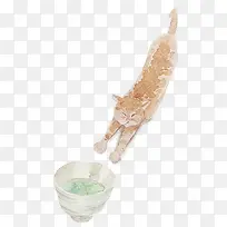 手绘准备吃食物的猫咪