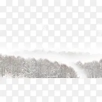 冬季雪地里的树林
