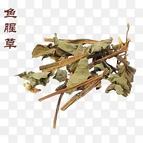 鱼腥草叶子素材