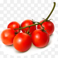 矢量西红柿