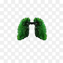 植物肺部