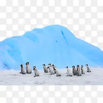 南极雪和企鹅
