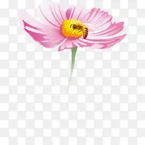 粉色梦幻手绘蜜蜂飞舞花朵