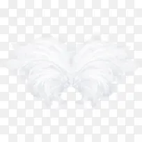 白色漂亮羽毛翅膀
