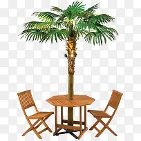 夏日活动植物椰子树沙滩