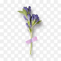 手绘紫色野花装饰素材