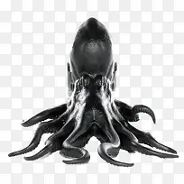 黑色石雕章鱼