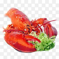 龙虾夹菜叶素材