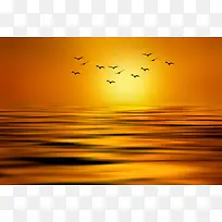 落日海面海鸥成群