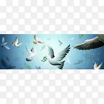 鸽子和平banner创意设计