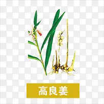 草药