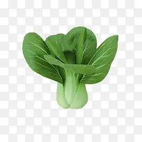 一颗小白菜