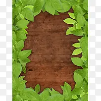 木板与叶子背景