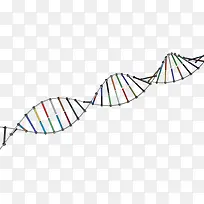 彩色螺旋基因模型医疗