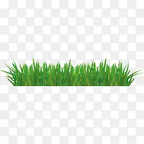 绿色草坪矢量素材
